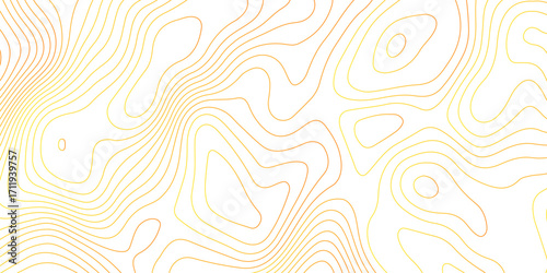 Topographic map background with geographic grid for hiking and mountain sport. luxury topographic wavy pattern and geographic grid map design. paper texture Imitation of a geographical map shade.