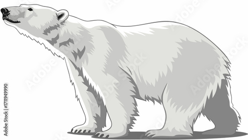 Polar Bear illustration Arctic animal wildlife graphic majestic mammal furry creature white bear cold climate animal wild animal portrait vector illustration graphic design element natu.