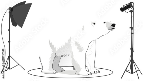 Studio Photograph of a Polar Bear with Lighting Equipment.