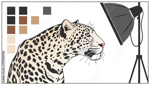 Studio portrait of a big cat illuminated by a professional light vector illustration animal photography wildlife art design element.