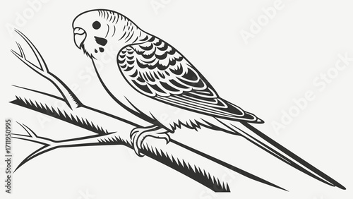 Stylized Budgie Perched on Branch Monochrome Bird Illustration Vector Graphic Design for Print and Web Use.
