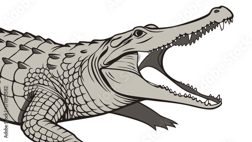 Close-up illustration of a crocodiles head with open jaws showcasing detailed scales and teeth perfect for wildlife reptile and animal themes.