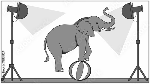 Elephant balancing on a ball under studio lighting.