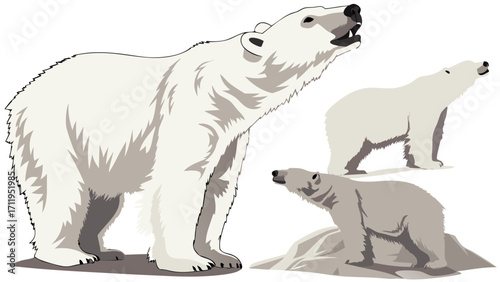Three Polar Bears in Different Poses Vector Illustration of Arctic Wildlife Perfect for Nature Wildlife and Conservation Projects.