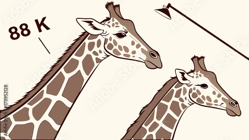Two Giraffe Portraits Studio-Style Illustration of Long-Necked Mammals.