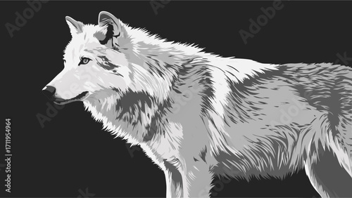 Stylized grayscale wolf illustration wild animal portrait canine vector art black background.
