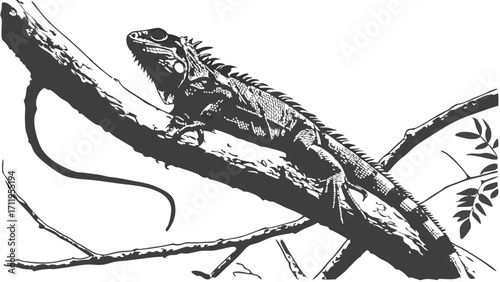 Stylized Iguana on Branch Reptile Illustration Monochrome Wildlife Art Vector Graphic.