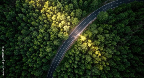 Aerial photo of a winding asphalt road cutting through thick green woodland, symbolizing coexistence of modern transport with natural surroundings and the need for low-impact infrastructure and respon