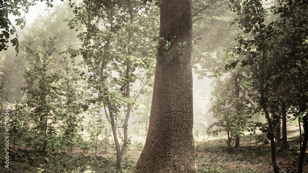 Fototapeta premium A Majestic Oak Standing Tall Amidst the Enchanting Woodlands of the British Hunting Grounds