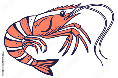 shrimp vector illustration