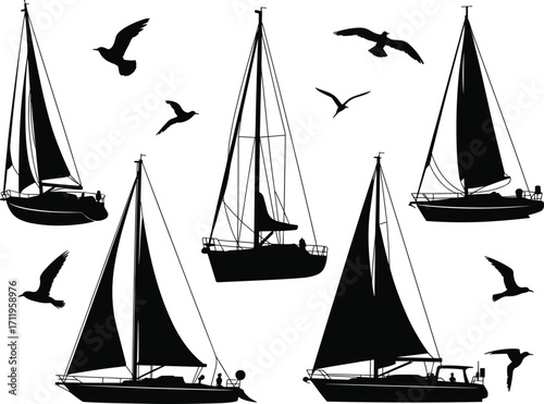 Silhouette sailboats sailing on water, birds flying above, peaceful marine scene, sailboat adventure, nautical travel, black and white vector, ocean breeze, freedom, calm, leisure, sport sailing