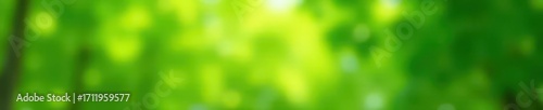 Green tree bokeh, nature backdrop Blurred, calming, natural scene , texture, peaceful, image