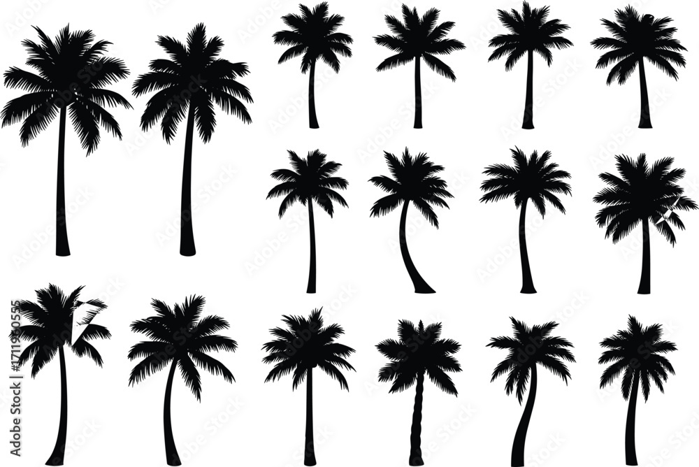 Fototapeta premium Palm tree silhouettes, tropical botanical icons, black and white design, exotic landscape elements, nature illustration, coastal flora shapes, island vibe art
