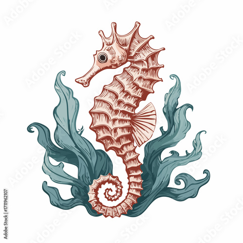 Elegant vintage-style illustration of a pink seahorse swimming gracefully among lush blue-green seaweed, isolated on a white background