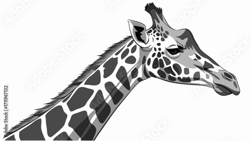 Elegant Giraffe Portrait Monochrome Animal Illustration Wildlife Art African Safari Theme Grey Scale Design Nature Image Zoo Animal Wild Animal Vector Graphic Black and White Giraffe Gr.