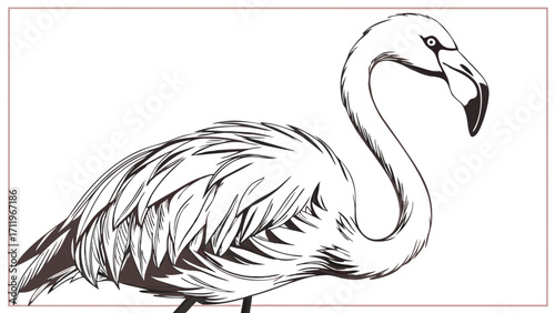 Elegant Line Art Drawing of a Flamingo Bird Tropical Bird Illustration Exotic Wildlife Sketch Bird Feather Detail Monochrome Bird Design Vector Illustration of a Flamingo.