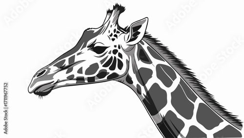 Giraffe Head Monochrome Illustration Wildlife Art Animal Portrait African Animal Grayscale Vector Illustration Nature Design Wild Animal Long Neck Spotted Pattern Safari Theme Zoo Ani.