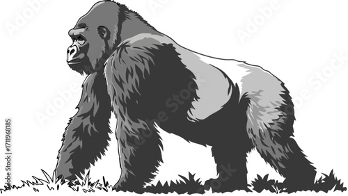 Gorilla illustration grayscale ape powerful primate wildlife vector art animal graphic design zoo animal image jungle creature strong ape portrait majestic gorilla drawing wild animal il.