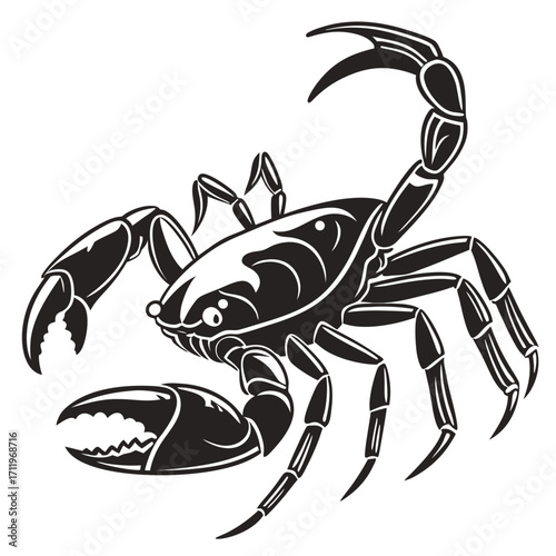 scorpion vector illustration