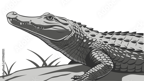 Grey scale illustration of a reptile alligator crocodile wild animal wildlife nature zoology fauna beast predator monster danger tropical exotic reptilian scales teeth jaws head.