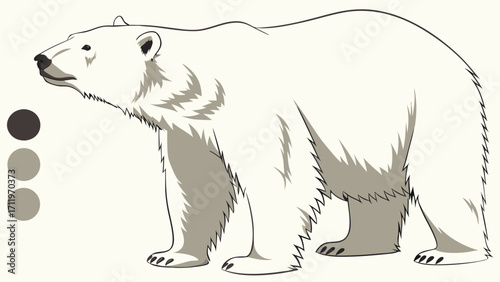 Polar Bear Illustration Arctic Animal Wildlife Drawing Coloring Page Nature Graphic Cute Bear Cartoon White Bear Image Mammal Design Furry Creature Winter Animal Arctic Wildlife Predat.