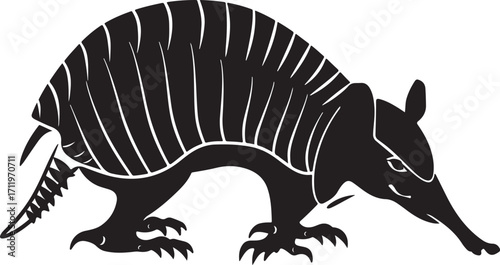 Bold black armadillo illustration on white backdrop