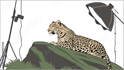 Studio Photography of a Big Cat on a Rock Wildlife Illustration Photo Shoot Setup.