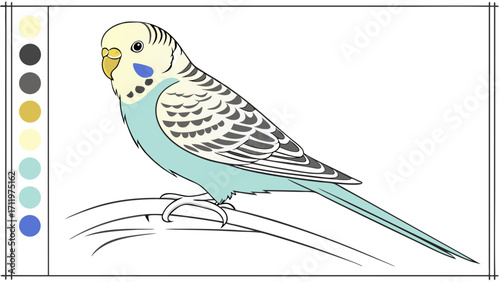 Cute Budgie Parrot Bird Illustration for Kids Coloring Book or Page Design.