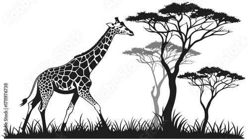 Giraffe in African Savanna Black and White Silhouette Illustration Wildlife Art Nature Graphic.