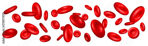 Realistic red blood cells flow through vein. 3D erythrocyte molecules. Hemoglobin microscopic particles. Bloody plasma. Circulatory system corpuscles vector stream on white background