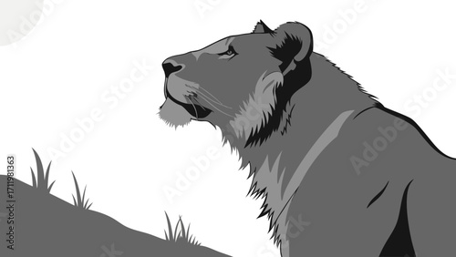 Stylish grayscale illustration of a lioness looking to the horizon wild feline portrait wildlife art.