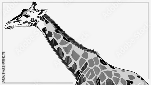 Stylized Giraffe Portrait Monochrome Animal Illustration Wildlife Art Grey Scale Elegant Design Nature Theme African Animal Vector Graphic Zoo Animal Safari Animal Wild Animal Animal P.