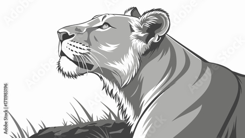 Stylized Lioness Head Majestic Animal Portrait Gray Scale Vector Illustration Wildlife Art.