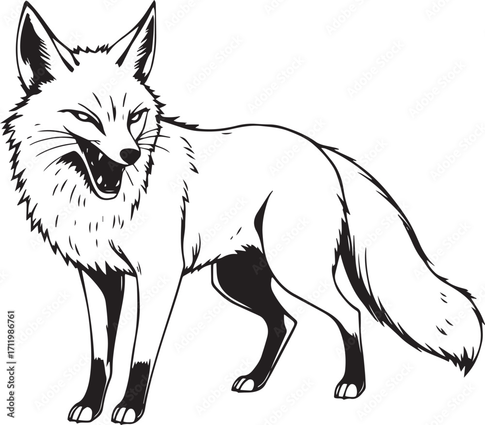 Fototapeta premium The Angry Fox. Hand drawn vector illustration