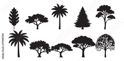 Variety of black tree and leaf silhouettes, including evergreen, palm, and deciduous trees, isolated on a white background.

