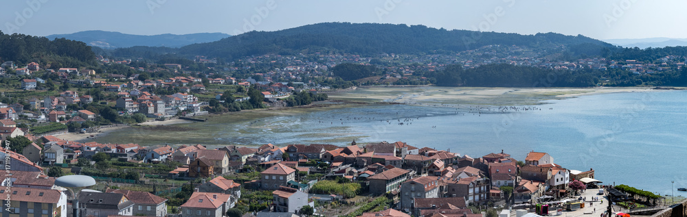 Fototapeta premium Hundreds harvest shellfish at low tide in a Galician estuary, seen from above.