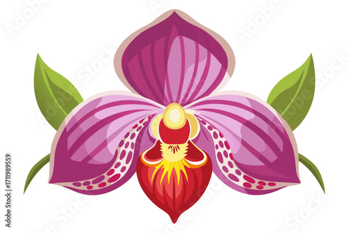 purple orchid flower