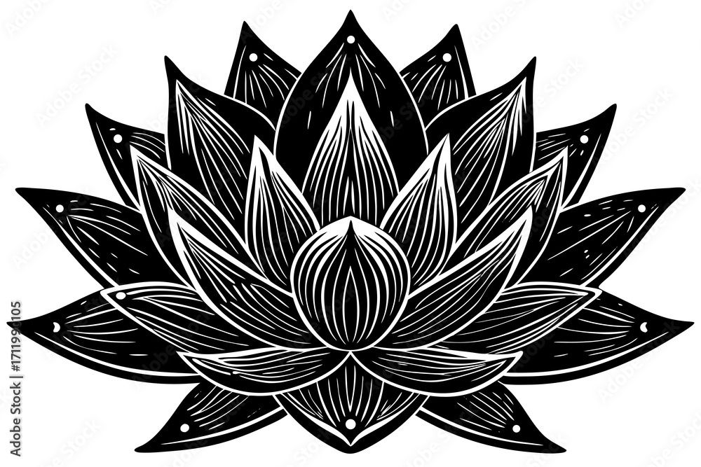 Fototapeta premium lotus flower vector