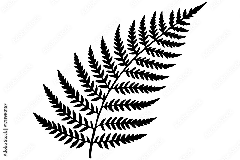 Naklejka premium fern leaf isolated on white