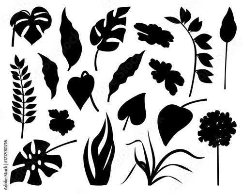 Tropical Leaf Silhouette Vector Clipart Set