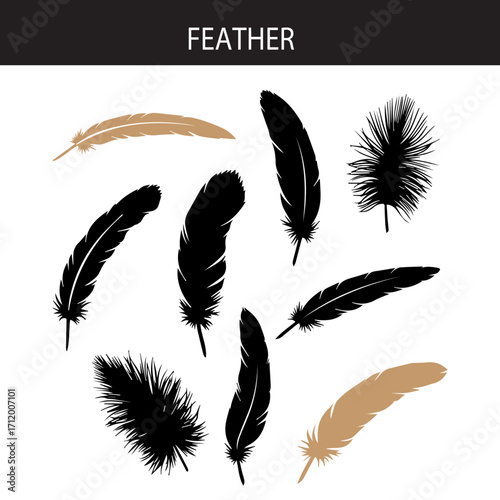 Feather silhouette vector icon set for elegant and boho design

