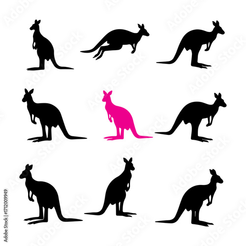 Kangaroo Australian animal silhouette vector set

