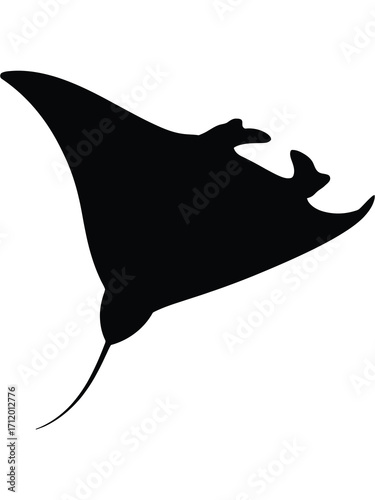 Silhouette of a majestic manta ray gliding through the ocean
