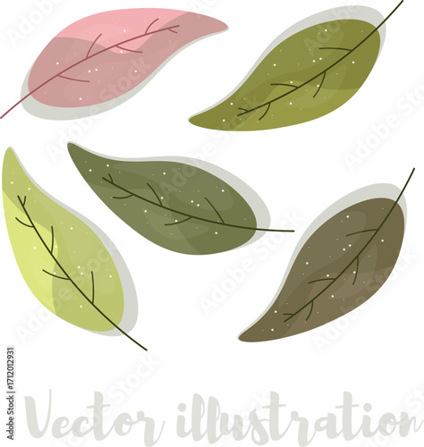 leaf, green, nature, plant, isolated, white, macro, tree, leaves, closeup, fresh, environment, water, natural, organic, drop, spring, flora, foliage, ecology, growth, life, abstract, summer, eco