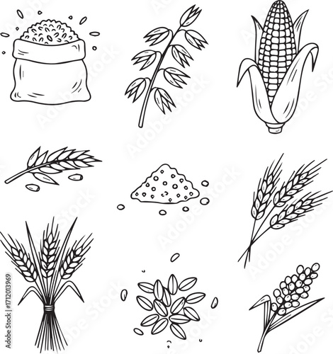 Create need Grains and cereals doodle icon set. Cute hand drawn sketch illustrations of rice, oats, corn, quinoa, agriculture grains, barley, millet. Black and white art for food ingredients.