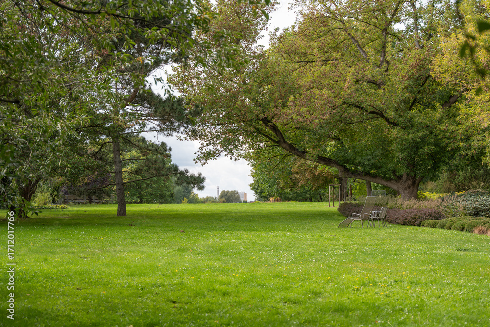 Obraz premium A wide green lawn stretches under tall trees, with chairs placed for rest. The peaceful park view invites relaxation and quiet time in nature.