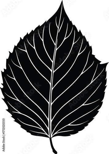 Elegant black silk fabric texture with subtle ripples and folds isolated on transparent background