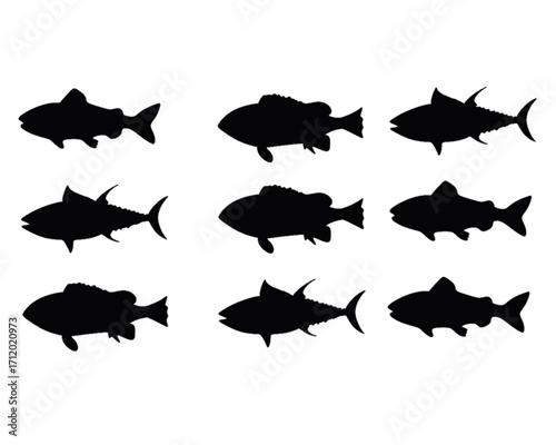 Harlequin Tusk Fish Silhouettes