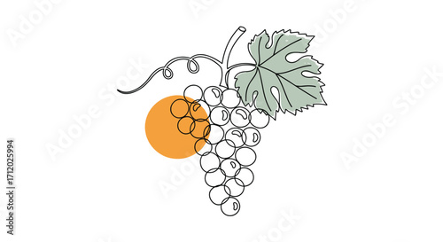 An artistic sketch of a light green grape cluster with an orange circle accent on a white background.