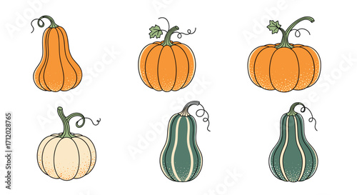 An assortment of gourds and pumpkins in various shapes and colors.